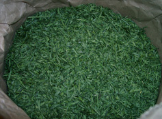 Shredded grass leaves after drying
